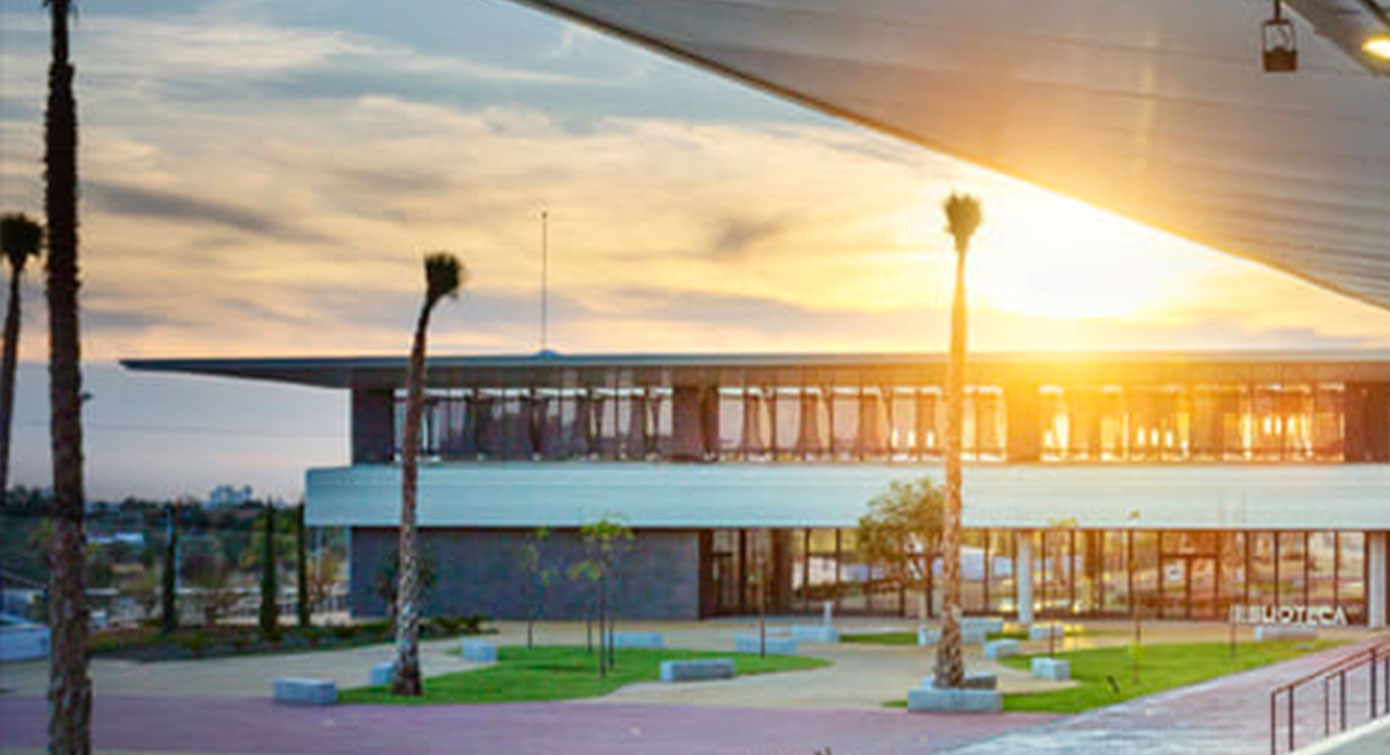 livensa-malaga.universidad-loyola.jpg