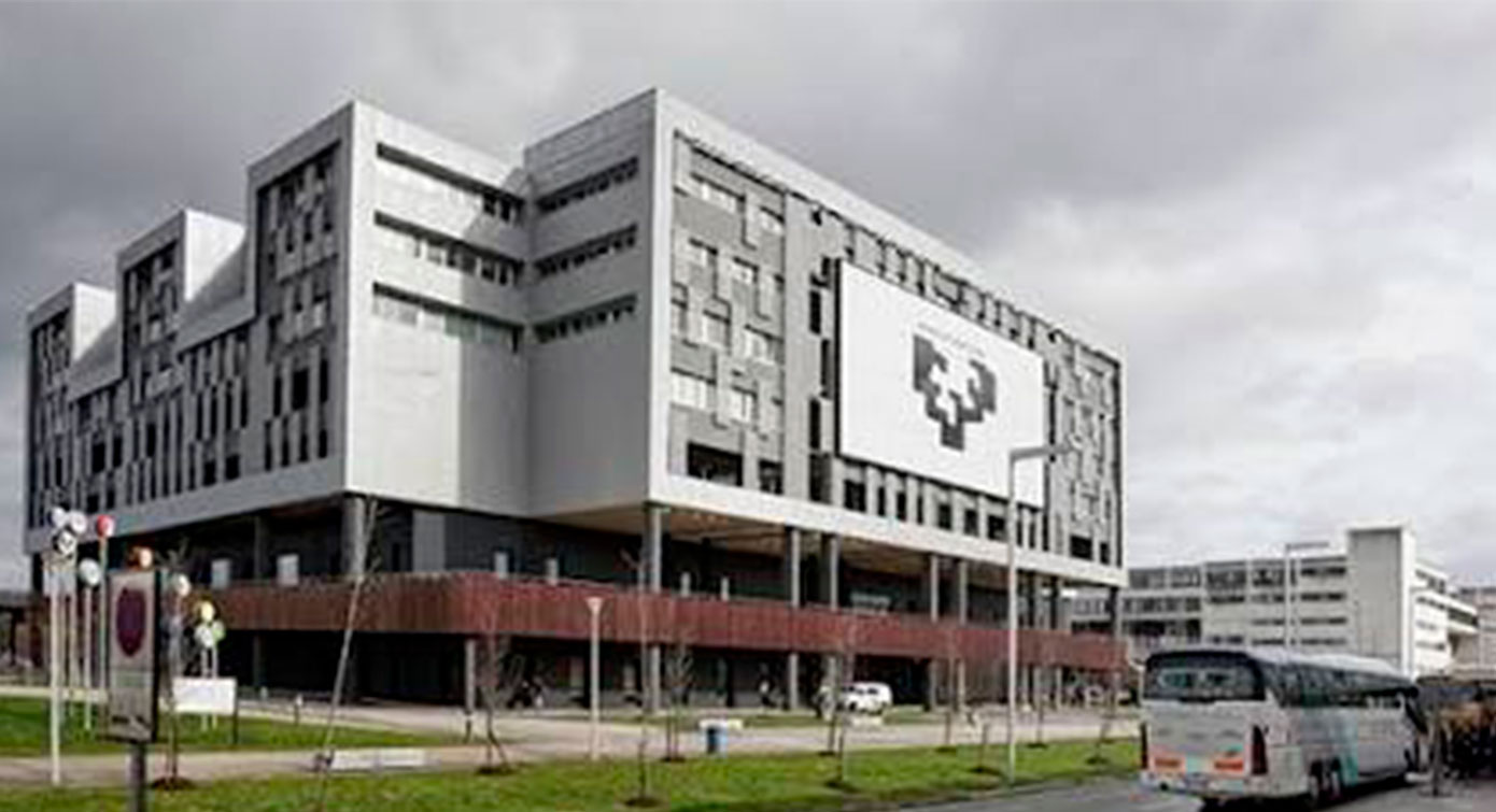 livensa-san-sebastian-upv-universidad-pais-vasco.jpg