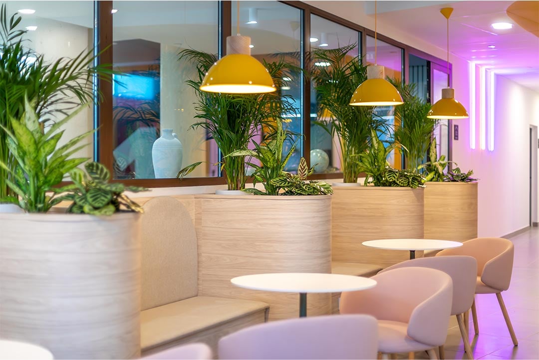 livensa-studios-valencia-malvarrosa-comedor-1.jpg
