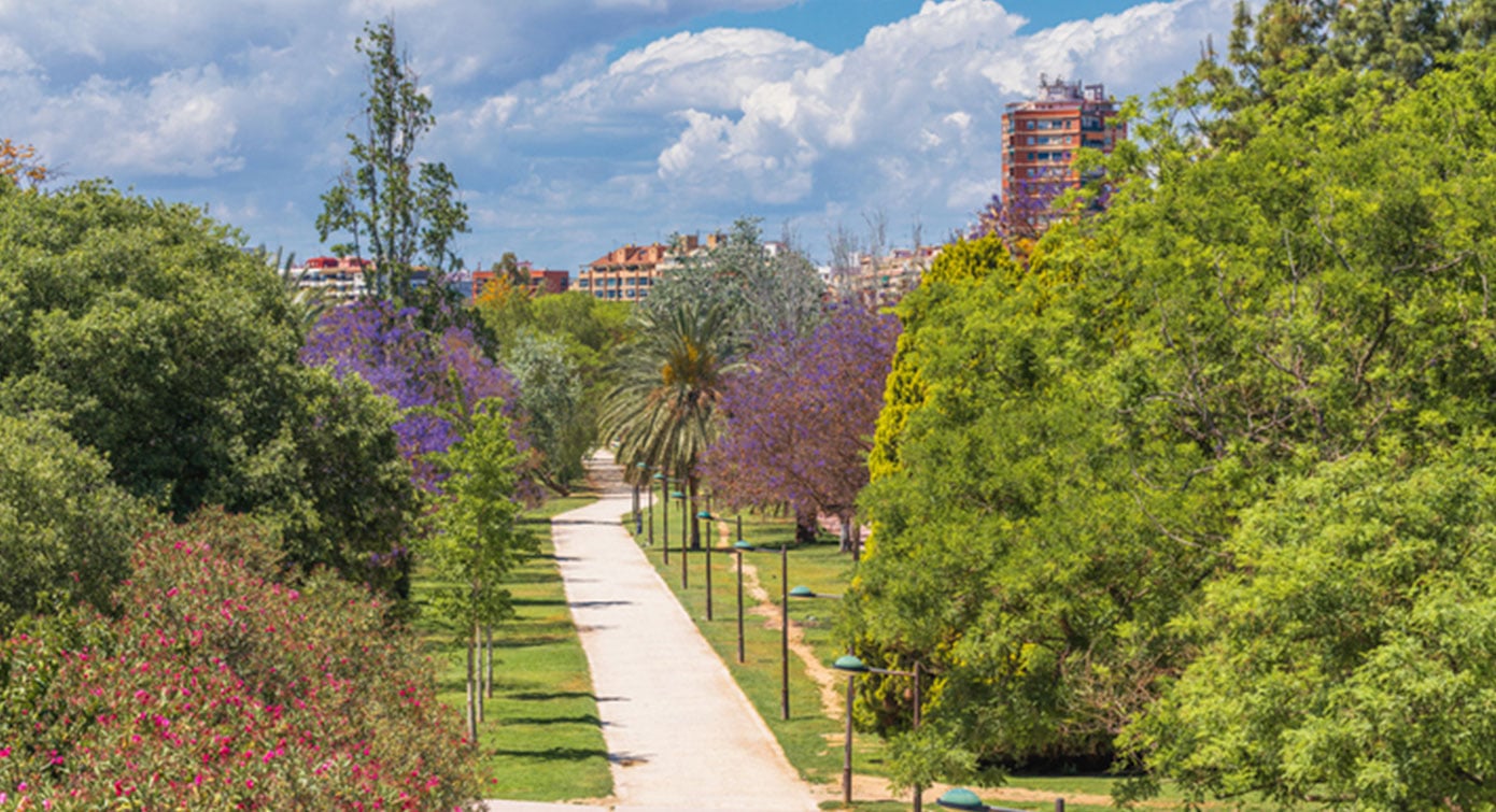 Valencia Rio Turia